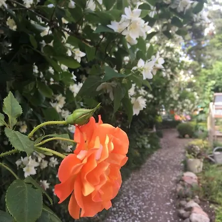 بيت ضيافة Harmonie 4*