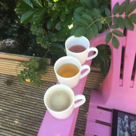 بيت ضيافة Harmonie 4*