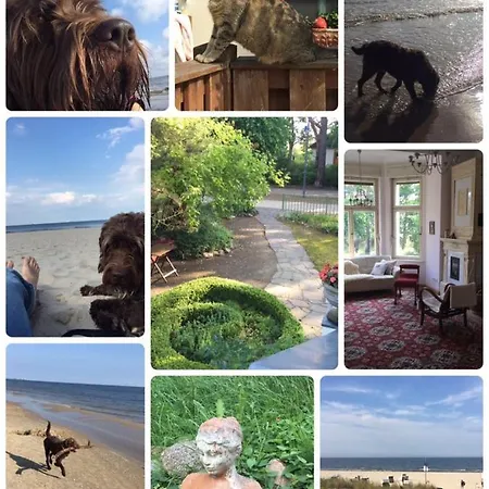 Guest house Harmonie