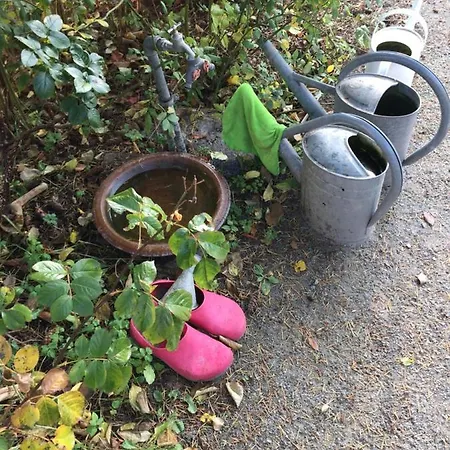 Harmonie هيرينجسدورف