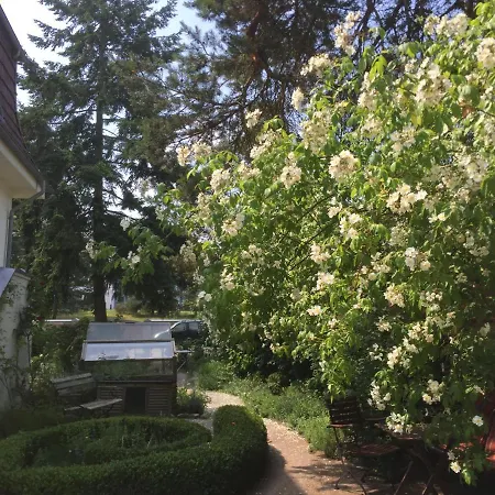 Harmonie Heringsdorf