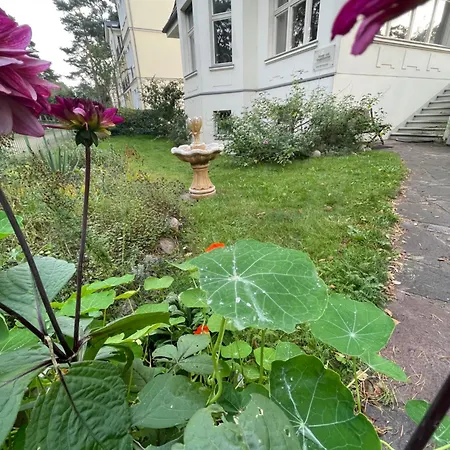 Harmonie Guest house