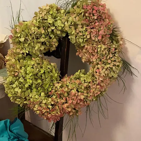 بيت ضيافة Harmonie