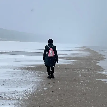 Guest house Harmonie 4*