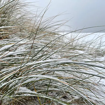 Harmonie 4* هيرينجسدورف