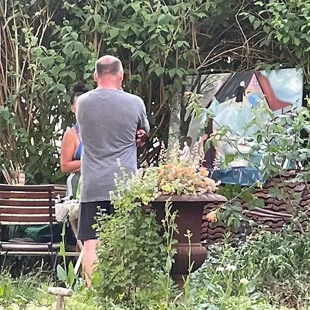 Harmonie هيرينجسدورف