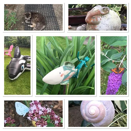 Harmonie هيرينجسدورف