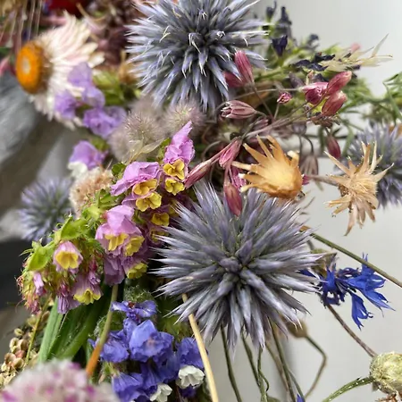 Guest house Harmonie 4*