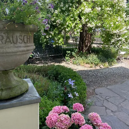 Harmonie 4* Heringsdorf (Usedom)