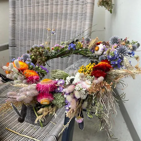 Harmonie بيت ضيافة هيرينجسدورف