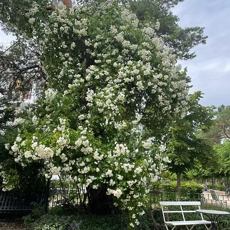 Harmonie 4* هيرينجسدورف