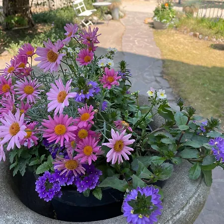 Harmonie هيرينجسدورف