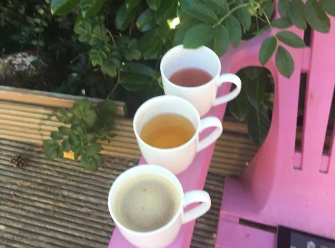 Гостевой дом Harmonie 4*