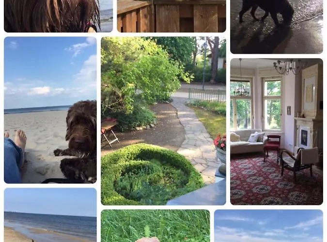 Vendégház Harmonie