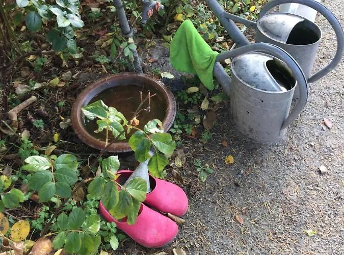 Harmonie Heringsdorf