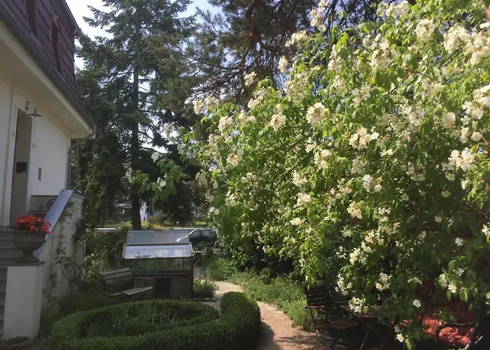 Harmonie Heringsdorf